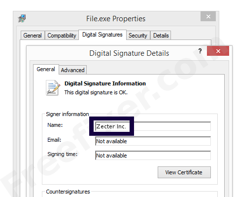 Screenshot of the Zecter Inc. certificate